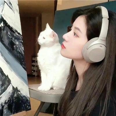 哈林夜总会